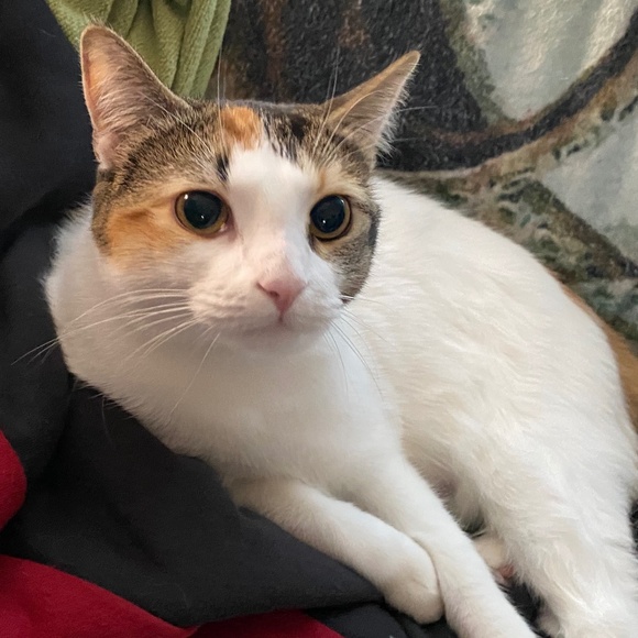 Meet your Posher, S - Picture 1 of 1